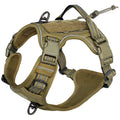 Dog Harness for Middle - Large Dog.