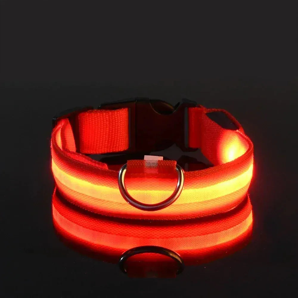 Dog LED Glow In The Dark collar.