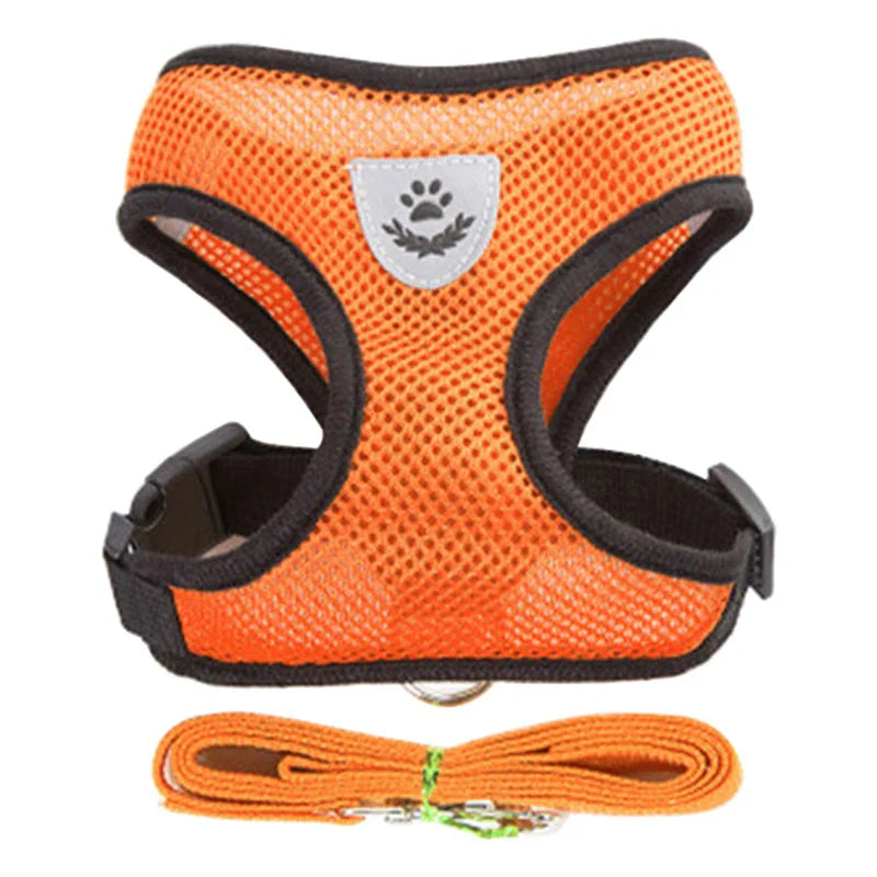 Harness for Small Dogs & Cats.