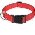 Puppy Neck Collars.