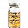 Stayve Gold Ampoule – Salmon DNA Brightening & Moisturizing Serum