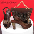 Thin Heels Ladies Shoes and Bag Matching Bag Set For Women Wedding Party.
